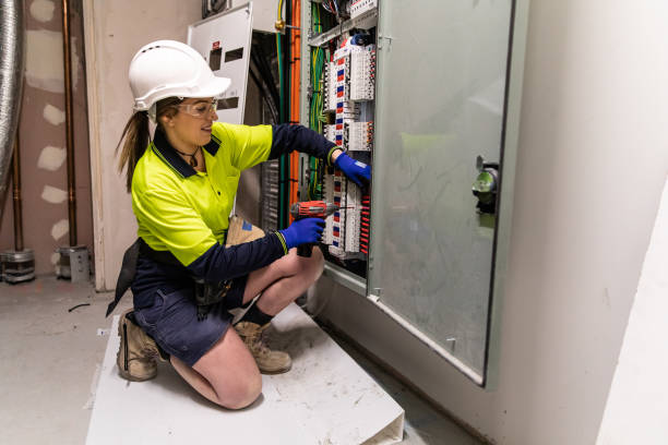Best Electrical System Inspection  in Norwood Young America, MN