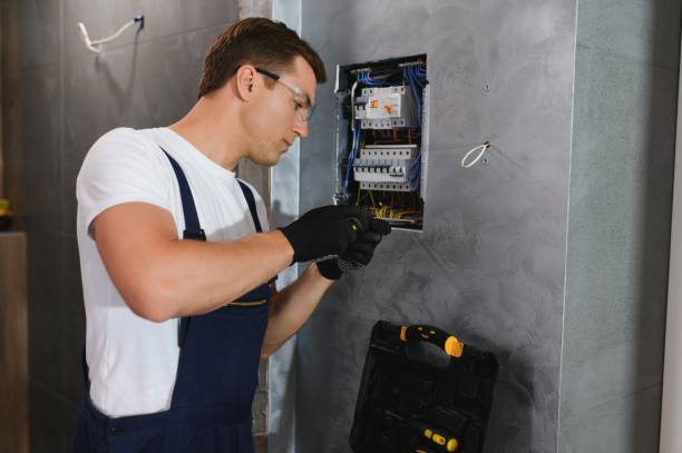 Best Affordable Electrician  in Norwood Young America, MN