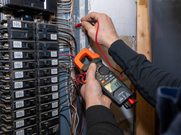 Best Ceiling Fan Installation Electrician  in Norwood Young America, MN